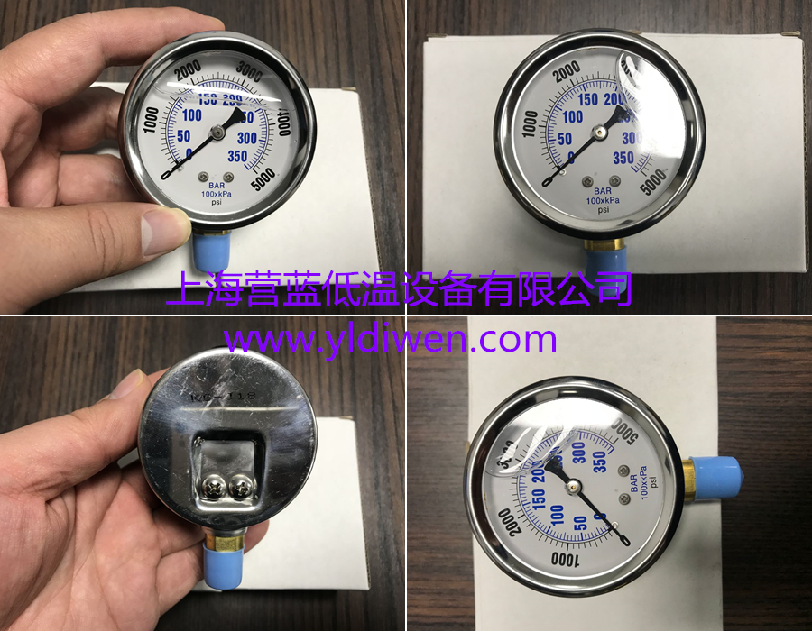 PIC GAUGES.png